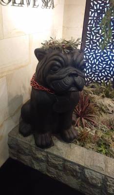 うたごえ選手権の景品！