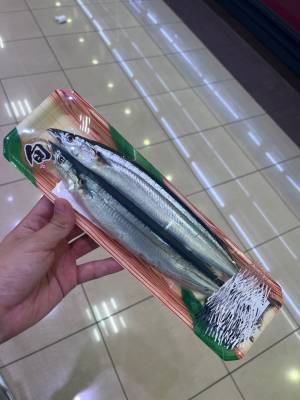 ファントムサンマ