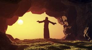 お久しぶりの日記