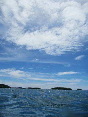 ダイビングの魅力