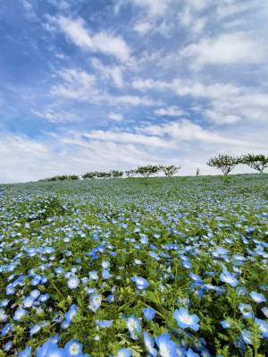 『 守ることから始まる理由 』