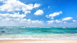 「夏」といえば