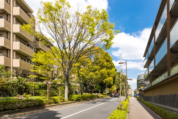 世田谷で生活に疲れた心を癒す―女性用風俗で過ごすという休日の選択肢