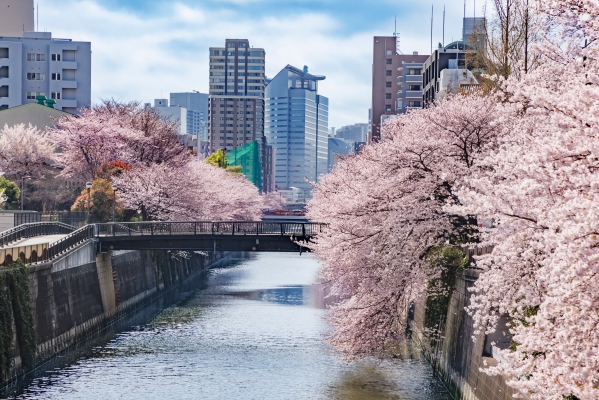 目黒区で女性用風俗を求める心理｜繊細な感性を癒す「心の質」と深い共感